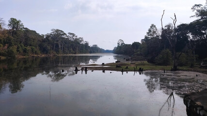 Fototapeta premium Small canal in the tropics in Angkor. Unesco World Heritage Site. Siem Reap Province. Cambodia. South-East Asia