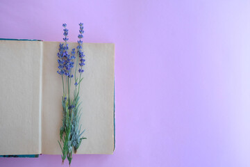 
Happy valentine's day. On a pink background, a bouquet of lavender and an old book.
Composition
for trendy banner, poster or greeting card.