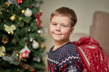 Portrait of a cute boy on the background of a Christmas tree. Looks at the camera. Next to the sofa is decorated with a red blanket. New year and Christmas celebrations.