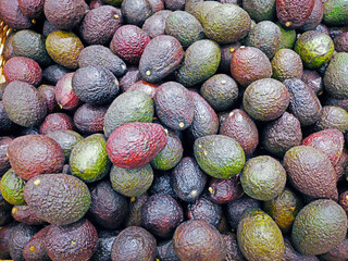 Group of green avacados in the supermarket, Avacado background, Fresh avacado from the farm garden,...