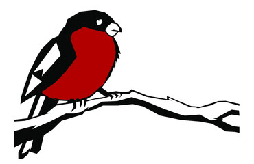 Bullfinch bird on a branch. Vector illustration