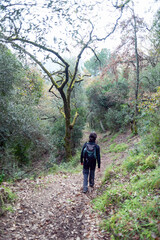 Fototapeta premium Hiker man walking alone in the autumn forest.
