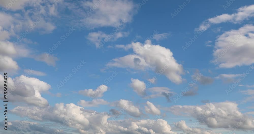 Wall mural white clouds of different shapes and sizes fly in time lapse fashion over a vivid blue sky on a part