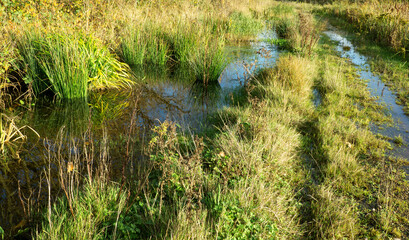 Flooded country path image