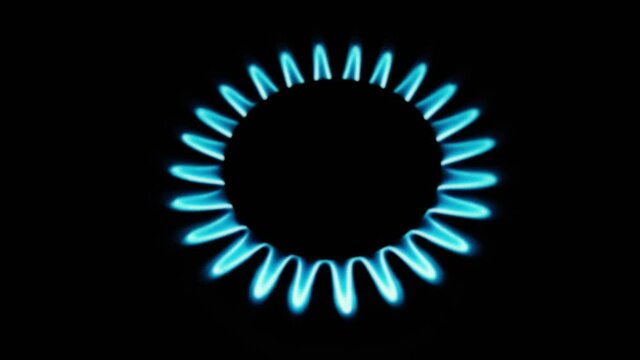 Burning gas stove hob, blue flames macro close-up in the dark on a black background. Gas is switching on, apearing blue flame. Gas stove on isolated on a black background.