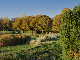 Nature and city in autumn colors