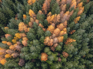 Glen Nevis with a drone, highland , Scotland, Fort William. © nehuen