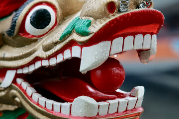 typical head of a dragon boat