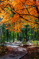 Autumn landscape of red leaves in Nanhu Park, Changchun, China