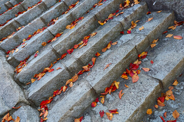 石階段と紅葉の落ち葉
