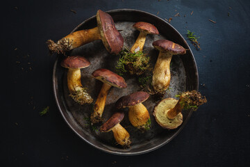 Wild mushrooms on dark background