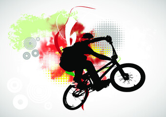 Obraz na płótnie Canvas Sport illustration of bmx rider