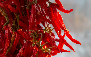 Dried red chili pepper.The pepper crop is dried on the window