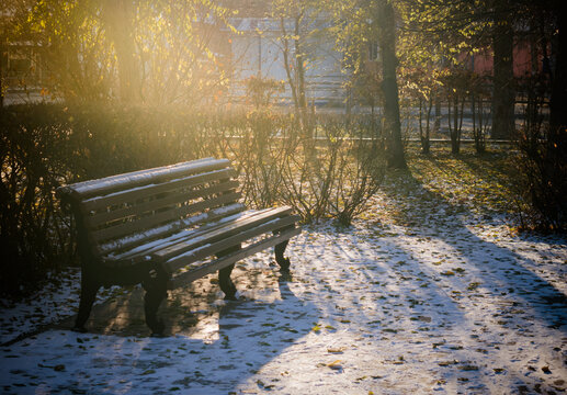 Park bench in winter on a Sunny day.Bright winter sun rays