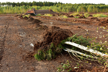 Landscape on peatlands where being development of the peat. Drainage of peat bogs at extraction site. Drilling on bog for oil exploration. Wetlands declining and under threat.
