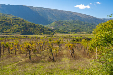 Beautiful and quiet nature landscape.