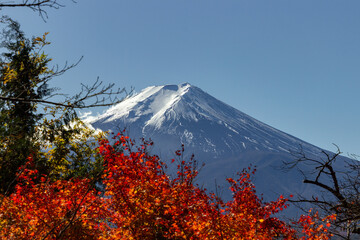 View of mountain Fuji in autumn (Japon)