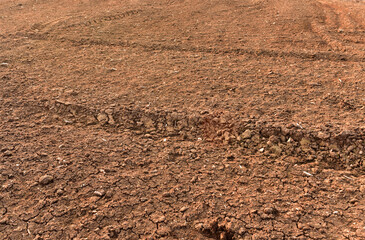 Peat Moss background. Peat moss industry harvests and ships millions of kilograms to countries...
