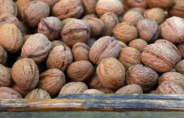 Whole walnuts in nutshells close up
