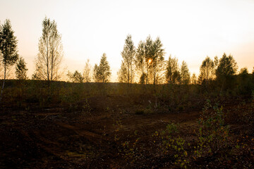 Landscape on peatlands on sunset background. Being development of the peat . Drainage of peat bogs at extraction site. Drilling on bog for oil exploration. Wetlands declining and under threat.