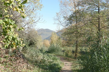 Passeggiata d'autunno