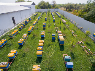Aerial view of the Great Apiary. Industrial beekeeping with honey bees.