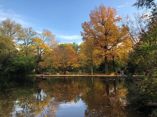 autumn in the park