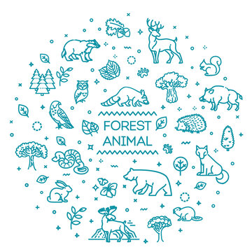 Vector. Set of linear vector forest animals.