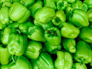 Plakat lots of ripe green pepper vegetables for cooking as a background