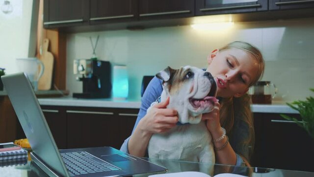 Happy blonde woman scratching the neck of bulldog puppy sitting in front of laptop in the kitchen. She working remotely at home.