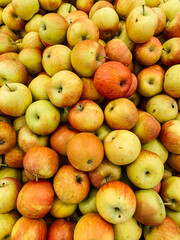 lots of ripe fruit sweet apples for cooking as a background