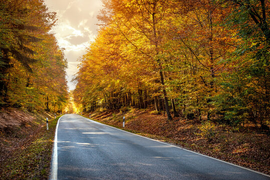 Fall scenic road in europa