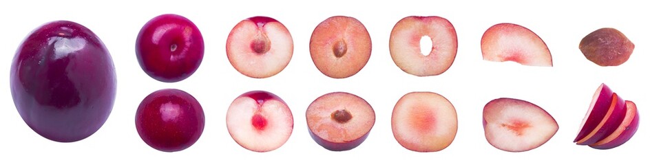 A fresh plum on a panoramic white background. Plum pieces, plum slices, quarters and pits