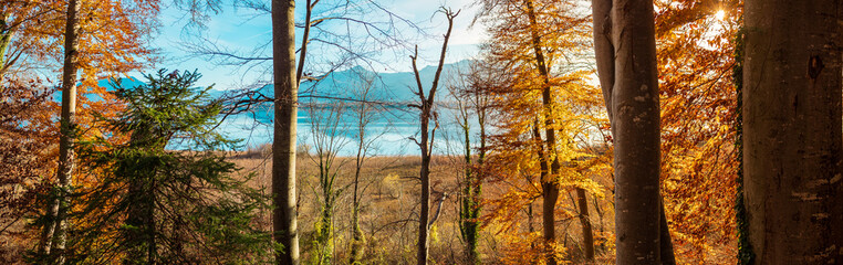Herbst auf der Herreninsel am Chiemsee