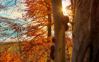 Herbst auf der Herreninsel am Chiemsee