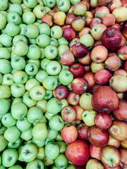 lots of ripe fruit sweet apples for cooking as a background