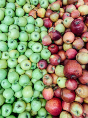 Naklejka na ściany i meble lots of ripe fruit sweet apples for cooking as a background