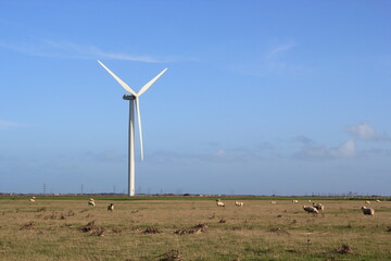 Wind farm turbines that produce electricity energy. Windmill Wind power technology productions Wind...