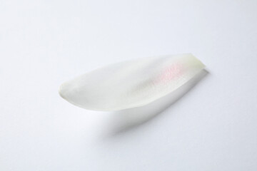 Beautiful lotus flower petal isolated on white