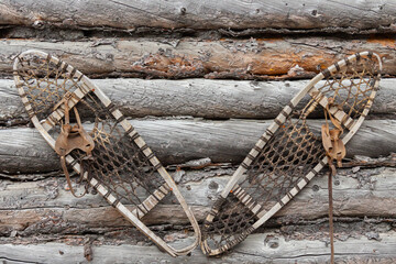 Unused and neglected snowshoes hang on the weathered sides of an abandoned Trappers Cabin in the...