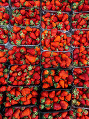 lots of ripe fruit sweet red strawberries for cooking as a background