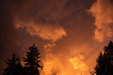 Silhouetted  trees over dramatic colorful stormy sunset cloud sky