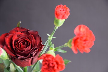 Rose and carnations red and dark background róża i goździki w bukiecie