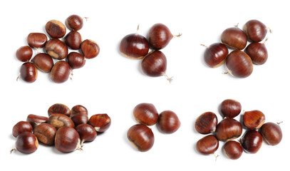 Set of sweet edible chestnuts on white background, top view