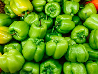 Obraz na płótnie Canvas lots of green pepper for cooking as a background