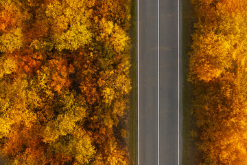 Beautiful aerial view of autumn forest crossed by asphalt road