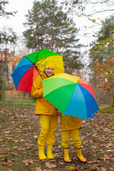 Cute happy little boy and a girl - brother and sister - in identical yellow costumes and hats walking in the forest with rainbow-colored umbrellas. Cosiness, family