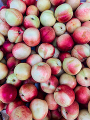 lots of ripe fruit sweet peaches for cooking as a background