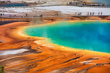 Grand Prismatic Hot Spring, Midway Geyser Basin, Yellowstone National Park, Wyoming, USA