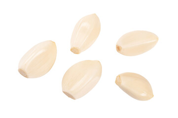 Set of agriculture
Garlic isolated on white background.